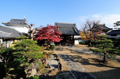 🏯 돈다바야시 고쇼지 별원 (돈다바야시 고쇼지 베쓰인) 이미지 8